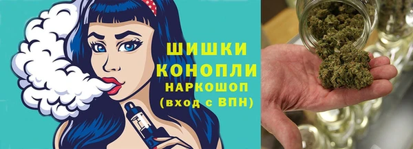 дмт Сатка