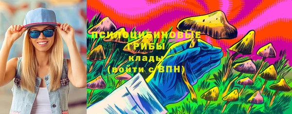 винт Саяногорск
